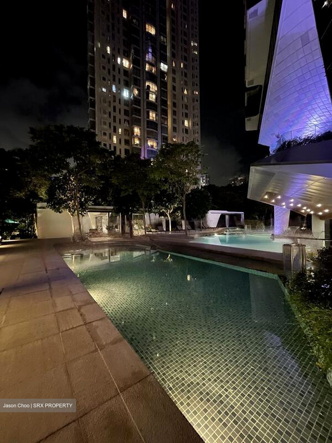 The Scotts Tower (D9), Condominium #461083181